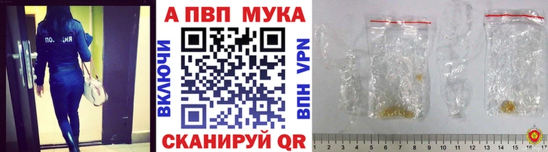 MEGA ТОР  Энем  Alfa_PVP крисы CK 