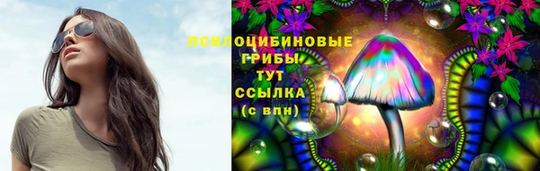 apvp Абдулино