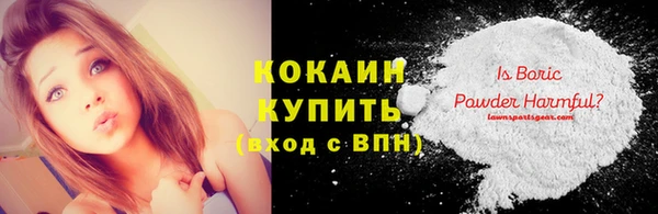 круглые Пересвет