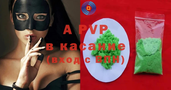 твердый Абаза