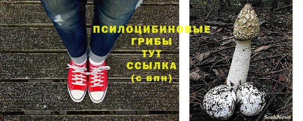 твердый Абаза