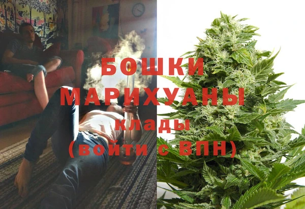 твердый Абаза