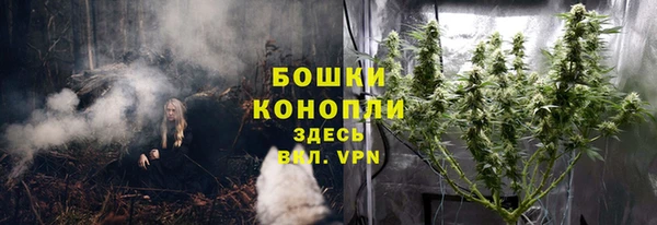винт Переславль-Залесский